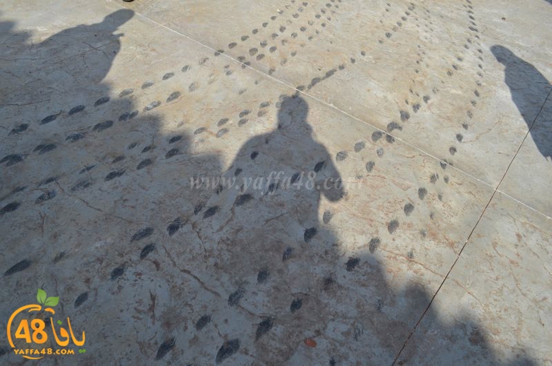 house fager31 (22).JPG